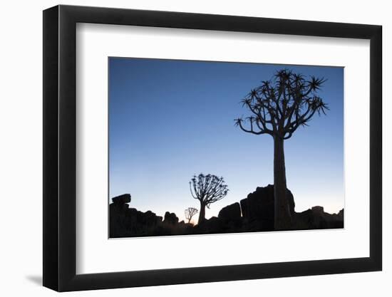 Namibia, Keetmanshoop, Quiver Tree Forest, Kokerboom. at sunset.-Ellen Goff-Framed Photographic Print