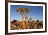 Namibia, Keetmanshoop, Quiver Tree Forest, Kokerboom.-Ellen Goff-Framed Photographic Print