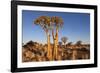 Namibia, Keetmanshoop, Quiver Tree Forest, Kokerboom.-Ellen Goff-Framed Photographic Print