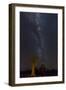 Namibia, Keetmanshoop. Quiver trees and Milky Way.-Jaynes Gallery-Framed Photographic Print
