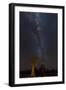 Namibia, Keetmanshoop. Quiver trees and Milky Way.-Jaynes Gallery-Framed Photographic Print