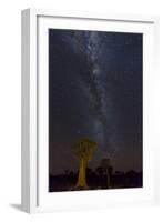 Namibia, Keetmanshoop. Quiver trees and Milky Way.-Jaynes Gallery-Framed Photographic Print