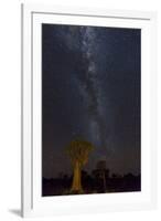 Namibia, Keetmanshoop. Quiver trees and Milky Way.-Jaynes Gallery-Framed Photographic Print