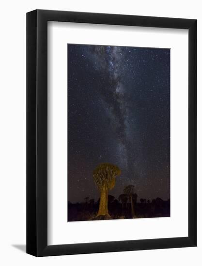 Namibia, Keetmanshoop. Quiver trees and Milky Way.-Jaynes Gallery-Framed Photographic Print