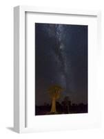 Namibia, Keetmanshoop. Quiver trees and Milky Way.-Jaynes Gallery-Framed Photographic Print