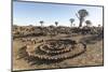 Namibia, Keetmanshoop. Rock spiral and Quiver tree Forest.-Jaynes Gallery-Mounted Photographic Print