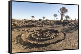 Namibia, Keetmanshoop. Rock spiral and Quiver tree Forest.-Jaynes Gallery-Framed Stretched Canvas