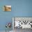 Namibia, Kolmanskop, Sperrgebeit. Abandoned House Interior-Wendy Kaveney-Photographic Print displayed on a wall