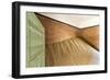 Namibia, Kolmanskop, Sperrgebeit. Abandoned House Interior-Wendy Kaveney-Framed Photographic Print