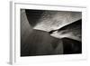 Namibia, Namib Desert. Aerial View of Sand Dunes-Bill Young-Framed Photographic Print