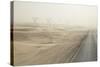 Namibia, Namib Desert, Walvis Bay. Desert Road in a Sandstorm-Wendy Kaveney-Stretched Canvas