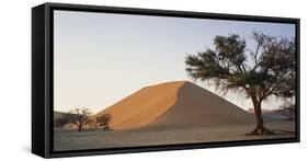 Namibia, Namib Naukluft National Park, Acacia Tree and Red Sand Dunes, Sossusvlei-Paul Souders-Framed Stretched Canvas