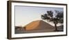Namibia, Namib Naukluft National Park, Acacia Tree and Red Sand Dunes, Sossusvlei-Paul Souders-Framed Photographic Print