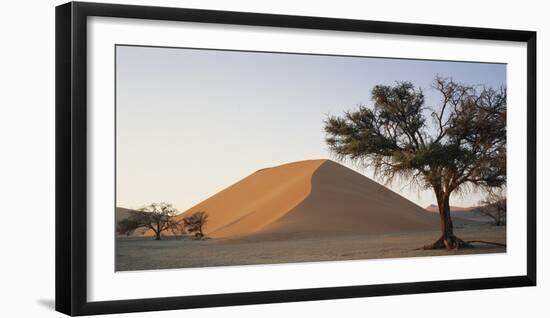 Namibia, Namib Naukluft National Park, Acacia Tree and Red Sand Dunes, Sossusvlei-Paul Souders-Framed Photographic Print