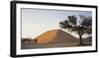 Namibia, Namib Naukluft National Park, Acacia Tree and Red Sand Dunes, Sossusvlei-Paul Souders-Framed Photographic Print