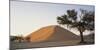 Namibia, Namib Naukluft National Park, Acacia Tree and Red Sand Dunes, Sossusvlei-Paul Souders-Mounted Photographic Print