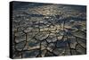 Namibia, Namib Naukluft National Park, Cracked Mud in Desert at Sossusvlei-Paul Souders-Stretched Canvas