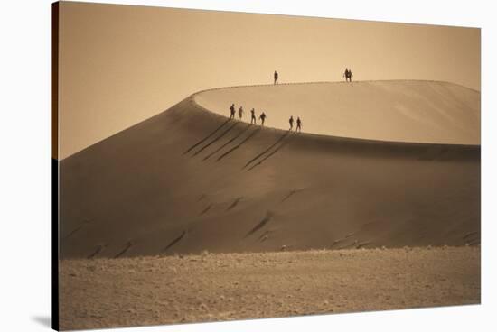 Namibia, Namib Naukluft National Park, Petrified Camel Thorn in the Namib Desert-Stuart Westmorland-Stretched Canvas