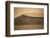 Namibia, Namib Naukluft National Park, Petrified Camel Thorn in the Namib Desert-Stuart Westmorland-Framed Photographic Print