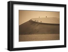 Namibia, Namib Naukluft National Park, Petrified Camel Thorn in the Namib Desert-Stuart Westmorland-Framed Photographic Print