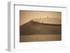 Namibia, Namib Naukluft National Park, Petrified Camel Thorn in the Namib Desert-Stuart Westmorland-Framed Photographic Print