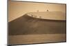 Namibia, Namib Naukluft National Park, Petrified Camel Thorn in the Namib Desert-Stuart Westmorland-Mounted Photographic Print