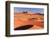 Namibia, Namib Naukluft National Park, Sossussvlei Sand Dunes-Michele Falzone-Framed Photographic Print