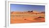 Namibia, Namib Naukluft National Park, Sossussvlei Sand Dunes-Michele Falzone-Framed Photographic Print