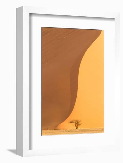 Namibia, Namib-Naukluft National Park, Sossusvlei. A dead camel thorn tree.-Ellen Goff-Framed Photographic Print