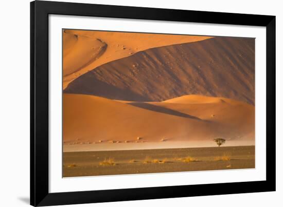 Namibia, Namib-Naukluft National Park, Sossusvlei. A dead camel thorn tree-Ellen Goff-Framed Photographic Print