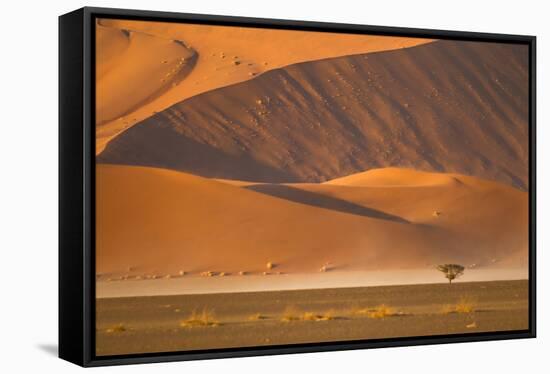 Namibia, Namib-Naukluft National Park, Sossusvlei. A dead camel thorn tree-Ellen Goff-Framed Stretched Canvas