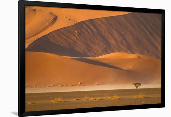 Namibia, Namib-Naukluft National Park, Sossusvlei. A dead camel thorn tree-Ellen Goff-Framed Photographic Print