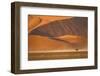 Namibia, Namib-Naukluft National Park, Sossusvlei. A dead camel thorn tree-Ellen Goff-Framed Photographic Print