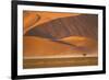 Namibia, Namib-Naukluft National Park, Sossusvlei. A dead camel thorn tree-Ellen Goff-Framed Photographic Print