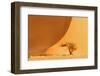 Namibia, Namib-Naukluft National Park, Sossusvlei. A dead camel thorn tree-Ellen Goff-Framed Photographic Print