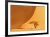 Namibia, Namib-Naukluft National Park, Sossusvlei. A dead camel thorn tree-Ellen Goff-Framed Photographic Print