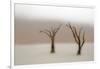 Namibia, Namib-Naukluft National Park, Sossusvlei, Dead Vlei. Ancient camel thorn trees in the fog.-Ellen Goff-Framed Photographic Print