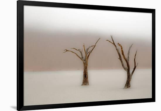 Namibia, Namib-Naukluft National Park, Sossusvlei, Dead Vlei. Ancient camel thorn trees in the fog.-Ellen Goff-Framed Photographic Print