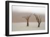 Namibia, Namib-Naukluft National Park, Sossusvlei, Dead Vlei. Ancient camel thorn trees in the fog.-Ellen Goff-Framed Photographic Print