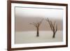 Namibia, Namib-Naukluft National Park, Sossusvlei, Dead Vlei. Ancient camel thorn trees in the fog.-Ellen Goff-Framed Photographic Print