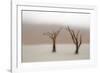 Namibia, Namib-Naukluft National Park, Sossusvlei, Dead Vlei. Ancient camel thorn trees in the fog.-Ellen Goff-Framed Photographic Print