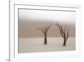Namibia, Namib-Naukluft National Park, Sossusvlei, Dead Vlei. Ancient camel thorn trees in the fog.-Ellen Goff-Framed Photographic Print