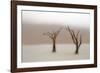 Namibia, Namib-Naukluft National Park, Sossusvlei, Dead Vlei. Ancient camel thorn trees in the fog.-Ellen Goff-Framed Photographic Print