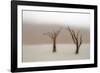 Namibia, Namib-Naukluft National Park, Sossusvlei, Dead Vlei. Ancient camel thorn trees in the fog.-Ellen Goff-Framed Photographic Print