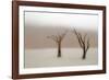 Namibia, Namib-Naukluft National Park, Sossusvlei, Dead Vlei. Ancient camel thorn trees in the fog.-Ellen Goff-Framed Photographic Print