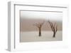 Namibia, Namib-Naukluft National Park, Sossusvlei, Dead Vlei. Ancient camel thorn trees in the fog.-Ellen Goff-Framed Photographic Print