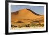 Namibia, Namib-Naukluft National Park, Sossusvlei. Large red dune rising from a while pan.-Ellen Goff-Framed Photographic Print