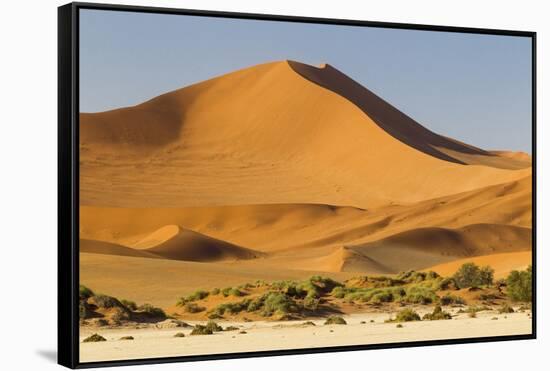 Namibia, Namib-Naukluft National Park, Sossusvlei. Large red dune rising from a while pan.-Ellen Goff-Framed Stretched Canvas