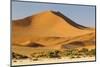 Namibia, Namib-Naukluft National Park, Sossusvlei. Large red dune rising from a while pan.-Ellen Goff-Mounted Photographic Print