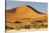 Namibia, Namib-Naukluft National Park, Sossusvlei. Large red dune rising from a while pan.-Ellen Goff-Stretched Canvas